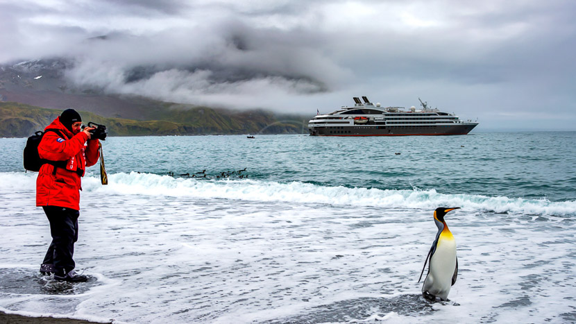 https://afjdocxmko.cloudimg.io/v7/https://baobab.etendues-sauvages.com/gallery/albums/antarctique_boucle_australe_ponant/01antarctique_sstock_georgie_du_sud_025.jpg?w=1040&org_if_sml=1